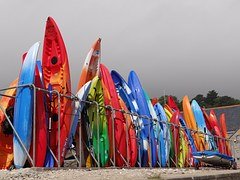 There is a large variety of types and styles of surfboards